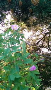 Another perspective, a different question.