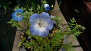 A good day for exploring the possibilities.