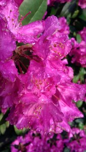 Today is a good day to take the time to see what a good day it is.