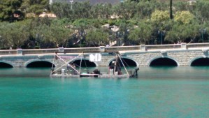 Practical work that goes on almost continuously...