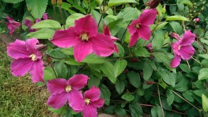 Today is a good day to notice small delights.