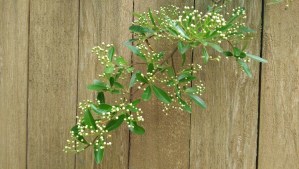 Today is a good day to enjoy simple things.