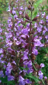 Today is a good day to love without reservations.