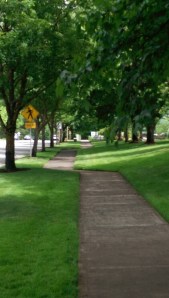 It isn't always obvious why the path is what it is.