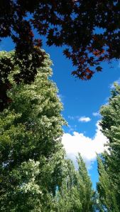 The loveliness of the day is only a distraction from suffering if we choose to be aware of it.