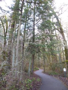 There is so much to explore...