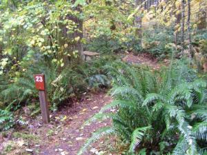 One possible future... and one beautiful now.