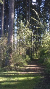 Every path leads precisely where it takes me.