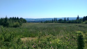 There were endless vistas...