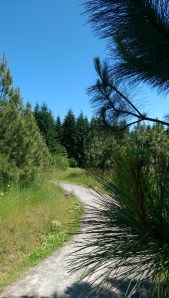 ...paths to points beyond...