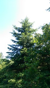 It was an afternoon well-spent, savored, and enjoyed in good company. 