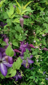 ...perspective matters.