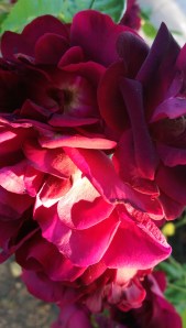 ...the generalities...