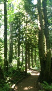 It's still a journey. There's still no map.