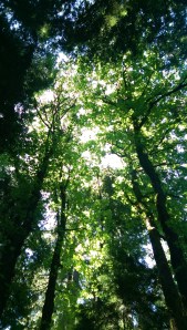 Another perspective.