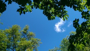 All the promise and potential of a new day.