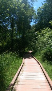 The beautiful thing about writers, is that although we are each on our own journey, and no one really has a map, sometimes the words of others function as a bit of pavement, a comfortable path for a portion of the journey.