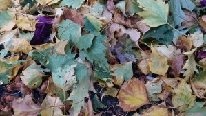 ...and of shared experience...