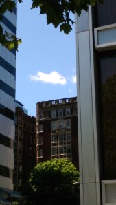 A lovely summer afternoon in this city I love.