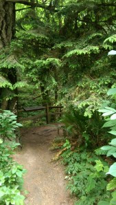 Being present matters; there's always something just ahead worth my attention.