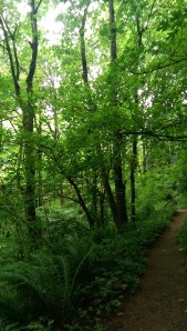 I needed to consider the path I am choosing, rather than simply walk it without thought.