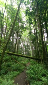 Perspective matters, too; what appears to be an obstacle from a distance, may have no effect on the journey I am taking, myself, when I get there.