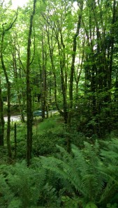 Sometimes the peace I am seeking isn't far removed from the turmoil I am struggling with; it's more a matter of perspective.