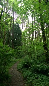 My journey, my choices, my experience... we are each having our own experience. 