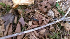 Sometimes it is about sharing some piece of the journey or crossing paths with another traveler.