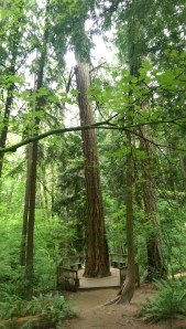 Every moment of solitary contemplation...