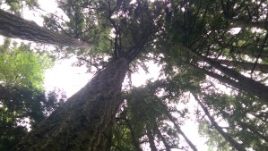 ...each opportunity to alter my perspective...