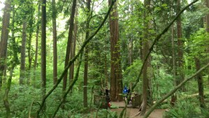 ...and moving on to another moment, I found I was quickly followed by others, also seeking, also contemplating, and on their own journey.