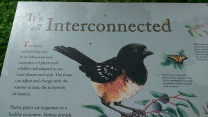 As I left the park, I pass this kind reminder... we are all interconnected.