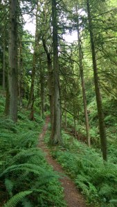 I am aware of the steps I take, and the path I am on; I am unsure of the destination.