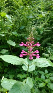 Open to the possibility of the unexpected, the unusual, and the wonderful.