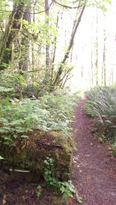 ...And time, too, for small mysteries, and a bit of fun?