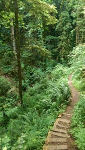 My journey continues, a step at a time, and plenty of opportunities to be grateful for a clear path ahead.