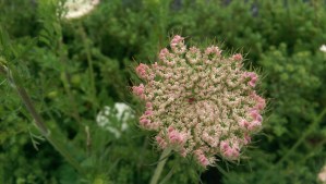 Clinging to what has been can prevent me seeing something new.