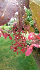 Today is a good day to look beyond the obvious.