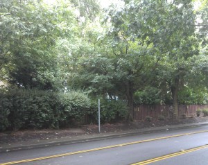 Wide-eyed and mindful, there is value in every journey.