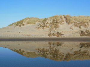 It's a good day to reflect.