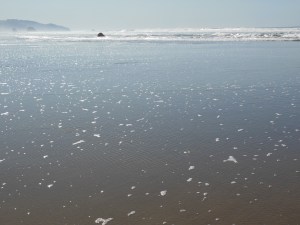 "...open like a child's mind..."