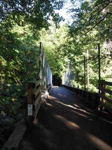 A trestle bridge along the Banks-Vernonia Trail, and a lovely metaphor for making a connection.
