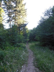 Continuing my journey...walking my own path.