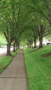 Life's lessons are not always obvious; the path is not always paved.