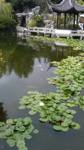 A lovely spot for a cup of tea.