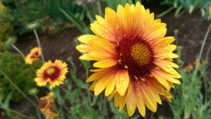 Today is a good day to be still for a moment.