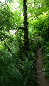 Each having our own experience, walking our own path, and making our own choices.