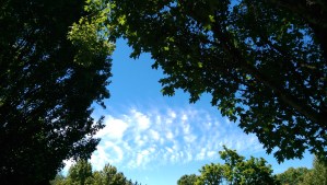 Blue skies on a summer day, even in the face of the emotion of the moment.