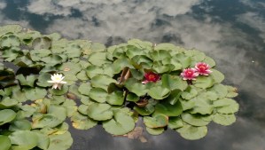 Today is a good day to be open to what the moment may offer.